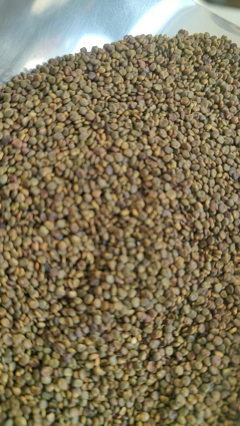 沙苑子陕西道地沙苑子水洗优质正品头茬无硫颗粒量大优惠