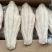 郑州巴沙鱼柳鱼块干冰去皮带皮巴沙鱼柳规格齐全