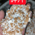 鸡蛋碎壳，蛋壳粉