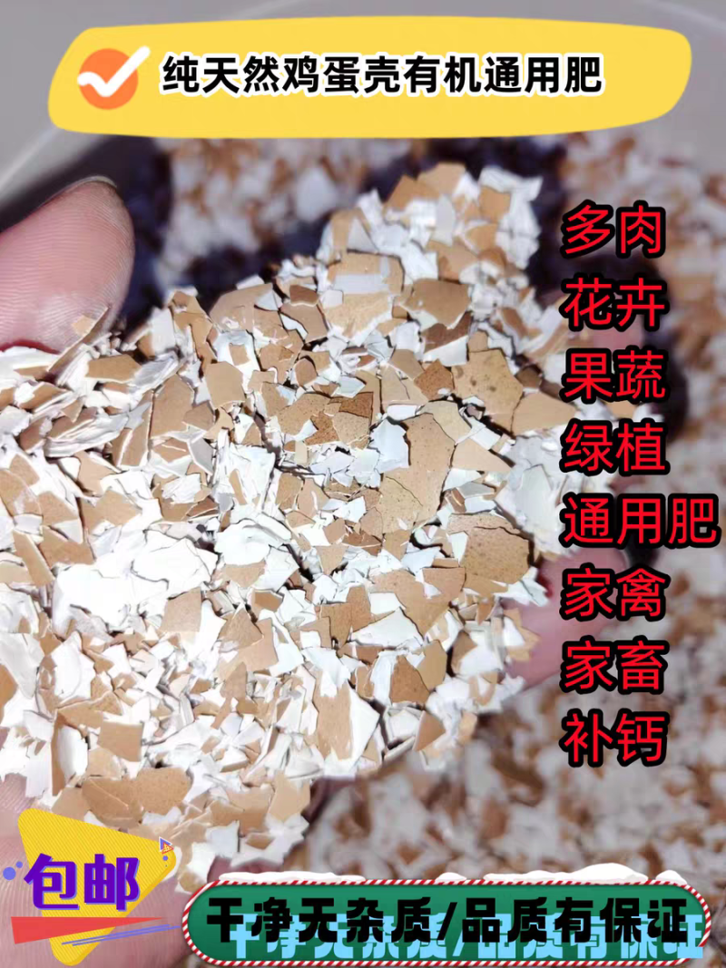 鸡蛋碎壳，蛋壳粉