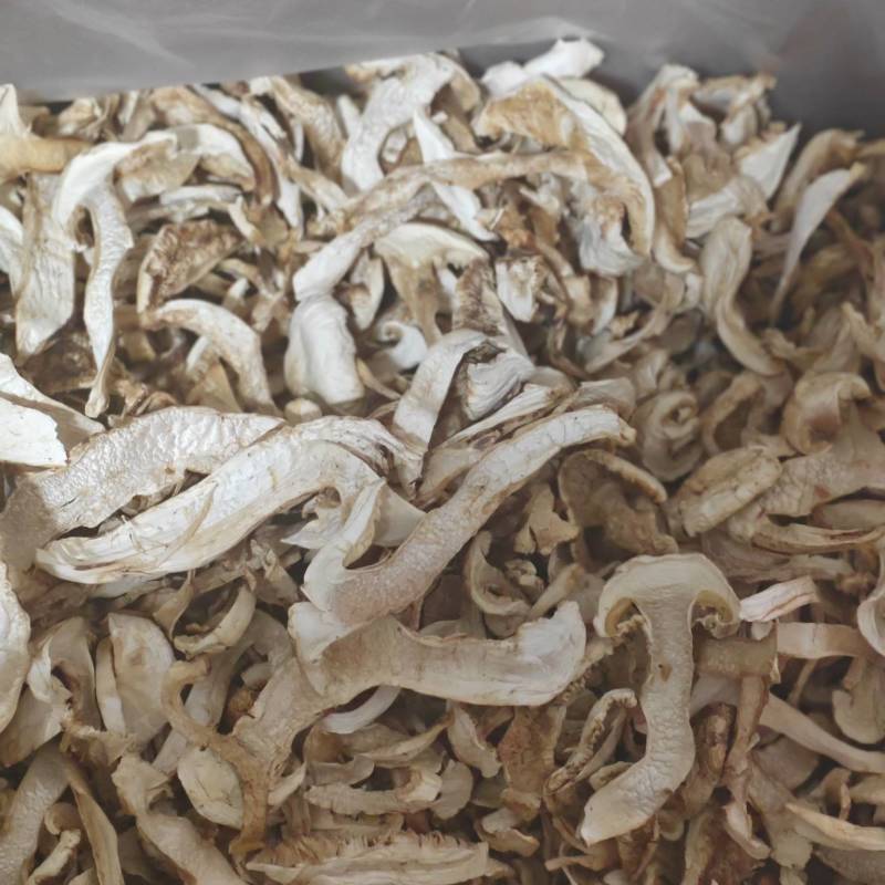 【大量上市】去皮松茸干片产地直发一手货源