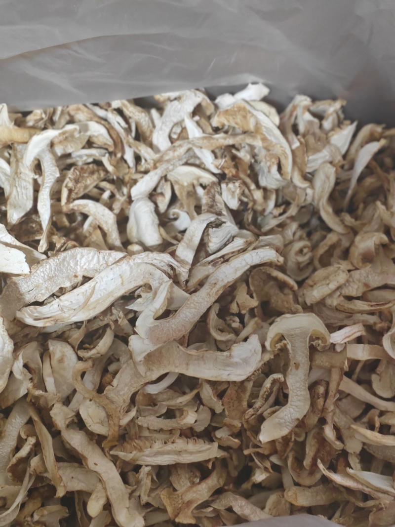 【大量上市】去皮松茸干片产地直发一手货源