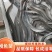 鳗鱼苗基地直销全国各地均可养殖经济价值高全程提供技术指