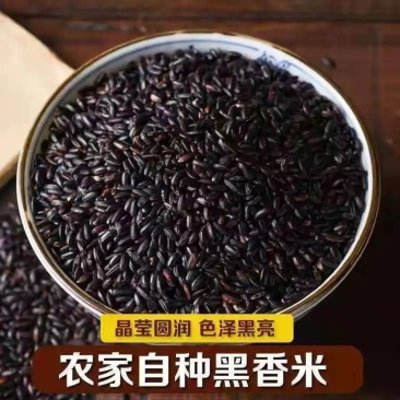 黑米黑米粥无染色五谷杂粮黑米粥