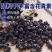 蓝莓干电商大量现货