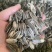 葵瓜子大量现货