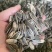 葵瓜子大量现货