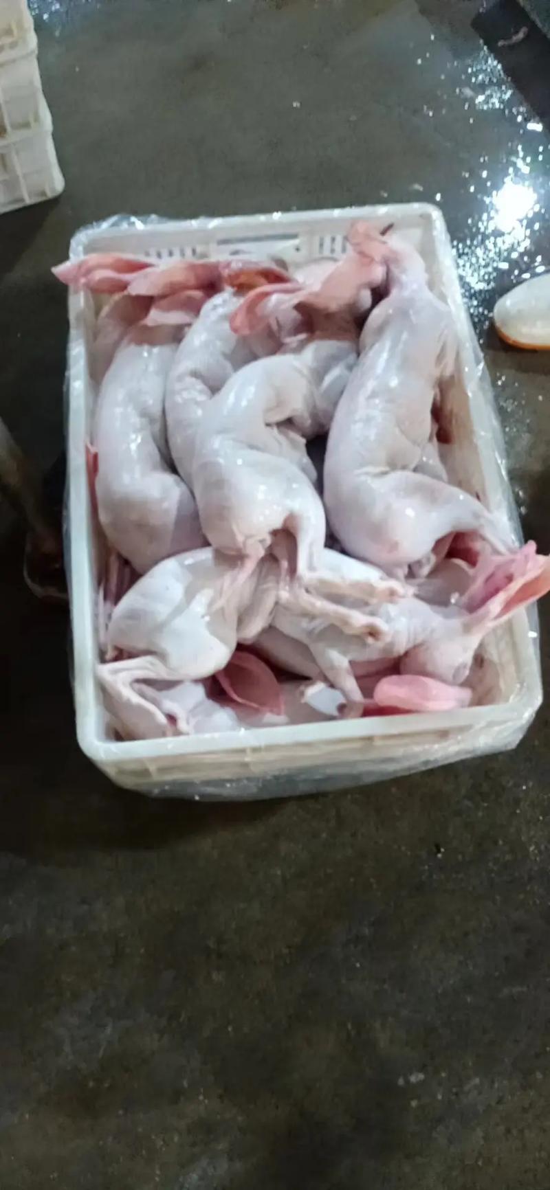 新鲜现杀兔肉天然放养顺丰包邮