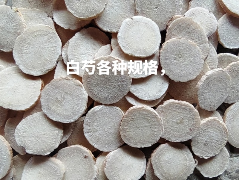 高规格精品全检白芍片各种规格量大优惠
