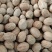 肉豆蔻玉果煮汤炖肉必备大货供应一手货源