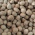 肉豆蔻玉果煮汤炖肉必备大货供应一手货源