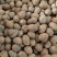肉豆蔻玉果煮汤炖肉必备大货供应一手货源