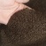 【沙苑子】正品沙苑子精品水洗沙苑子药用茶用量大从优