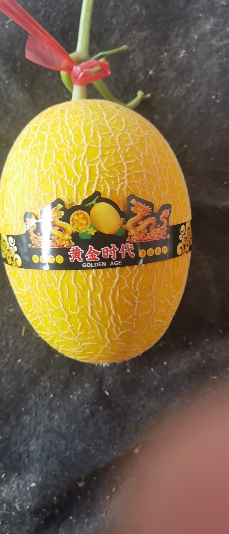 ，凤金6号黄25