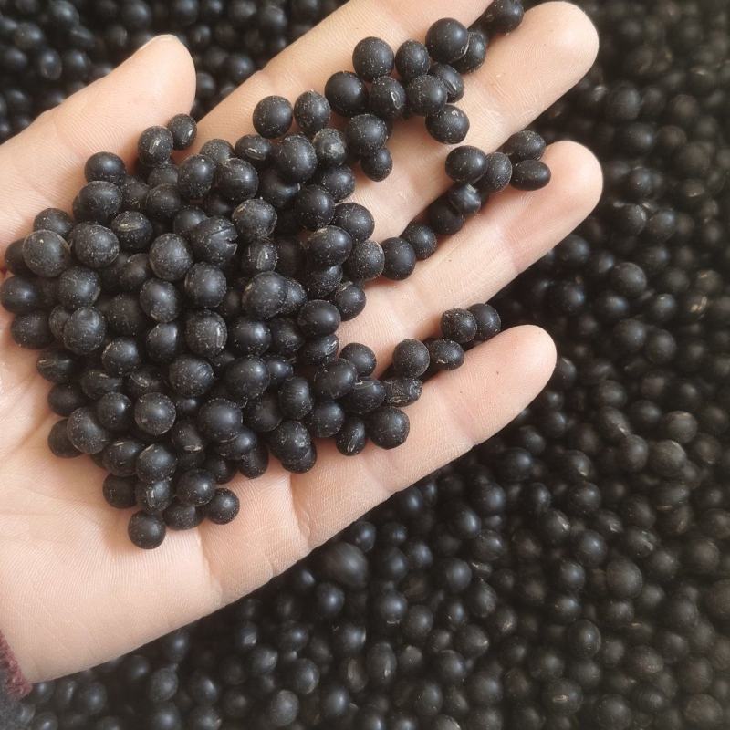 【黑豆】精选绿芯大黑豆颗粒饱满量大从优欢迎选购