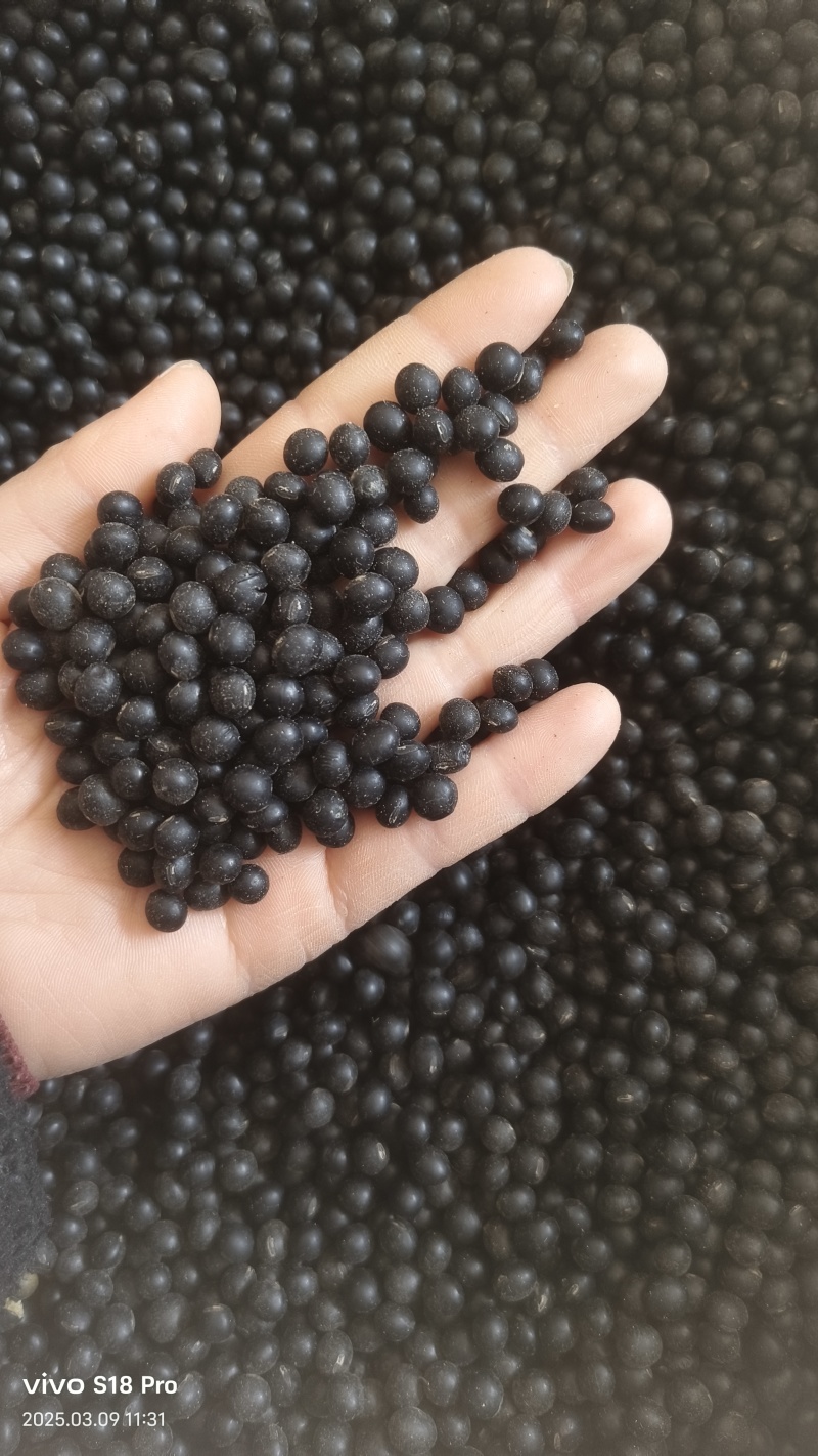【黑豆】精选绿芯大黑豆颗粒饱满量大从优欢迎选购