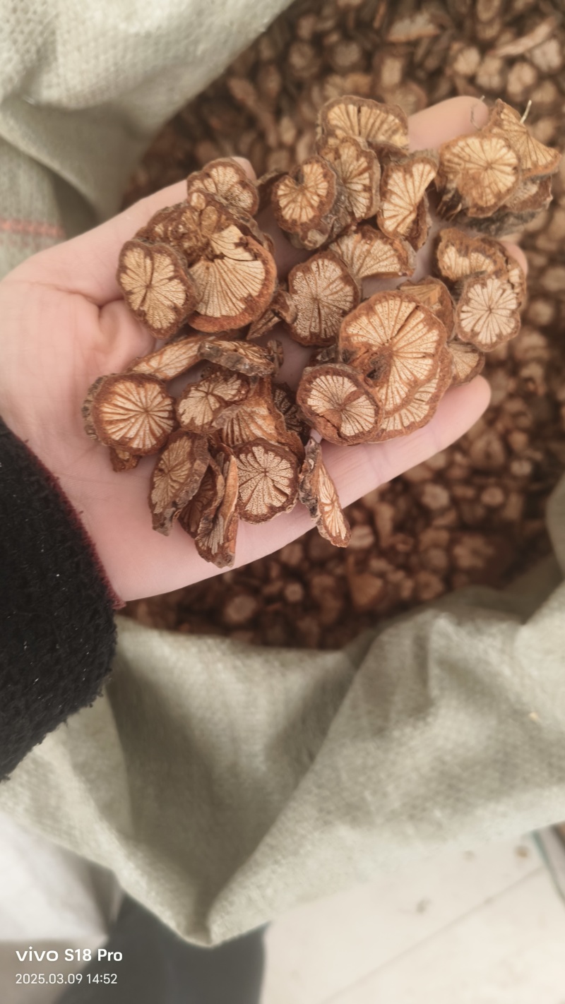 【红藤片】红藤精品片实物拍摄干净无杂质量大从优