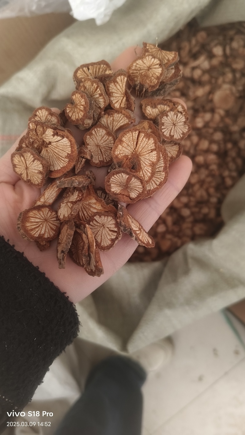 【红藤片】红藤精品片实物拍摄干净无杂质量大从优