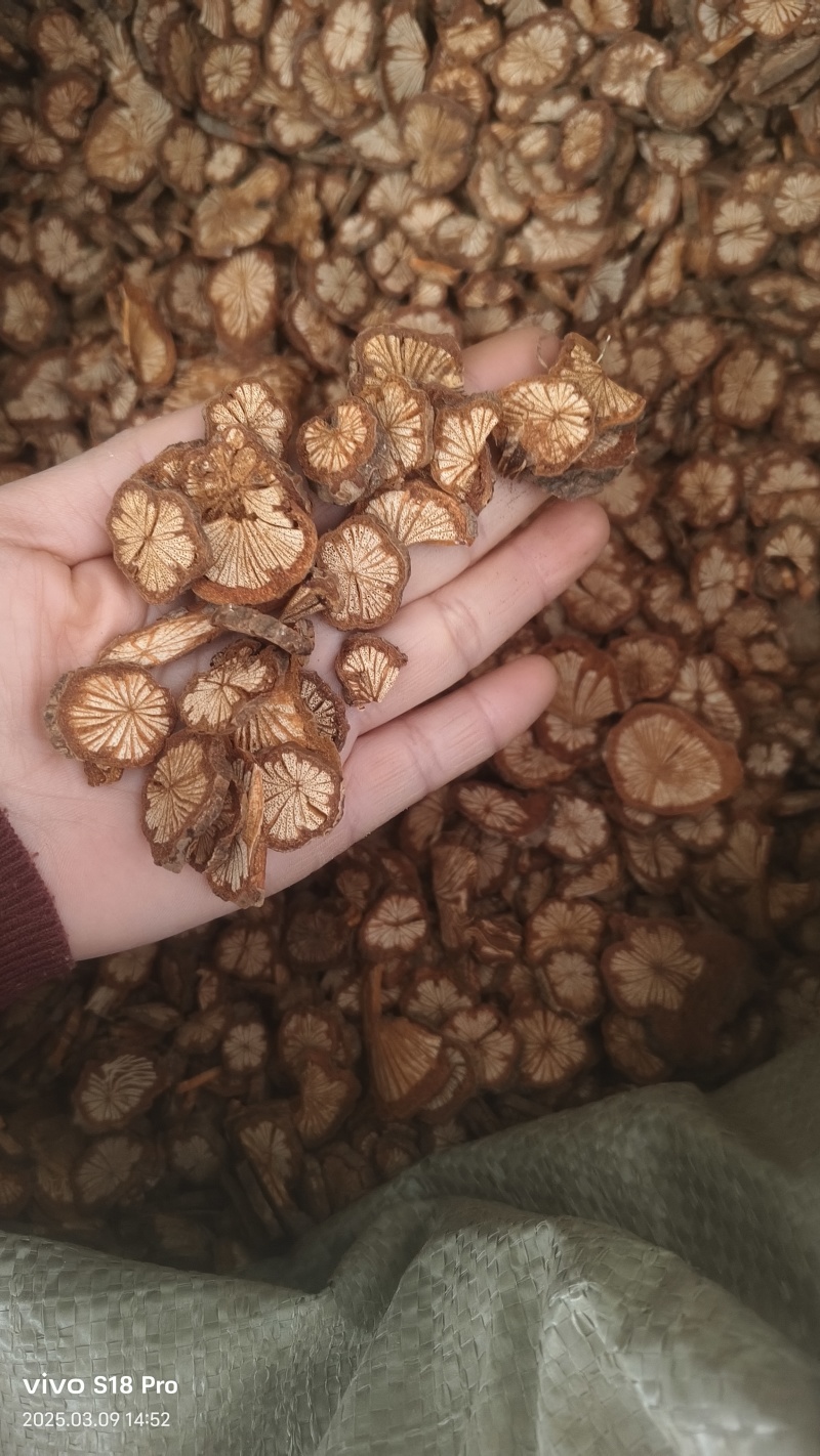 【红藤片】红藤精品片实物拍摄干净无杂质量大从优