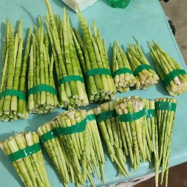 野生竹笋大量有货