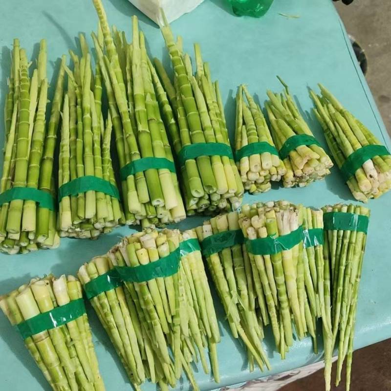 野生竹笋大量有货