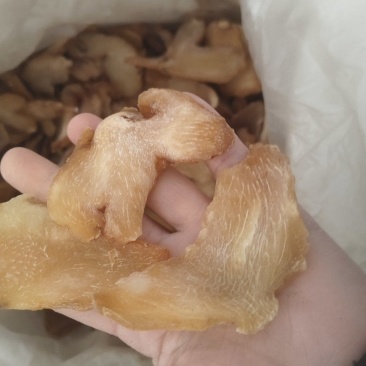 【黄精】选片黄精片无硫新货黄精炙黄精