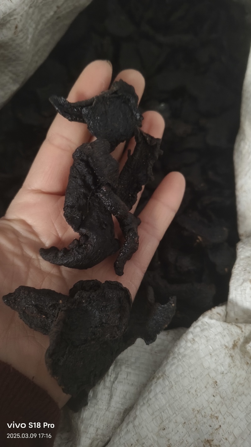 【黄精】选片黄精片无硫新货黄精炙黄精