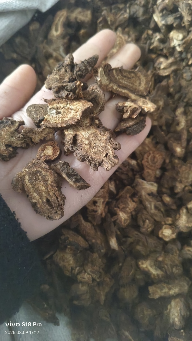【羌活】四川正品羌活实物拍摄量大从优正品保证