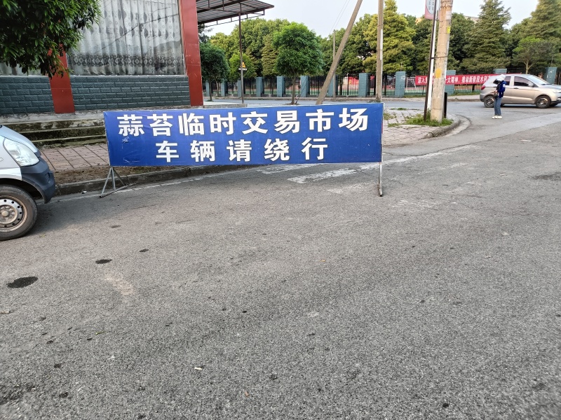 四川省什邡市亿亩田蒜苔上市