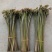 蕨菜大量上市，价格美丽