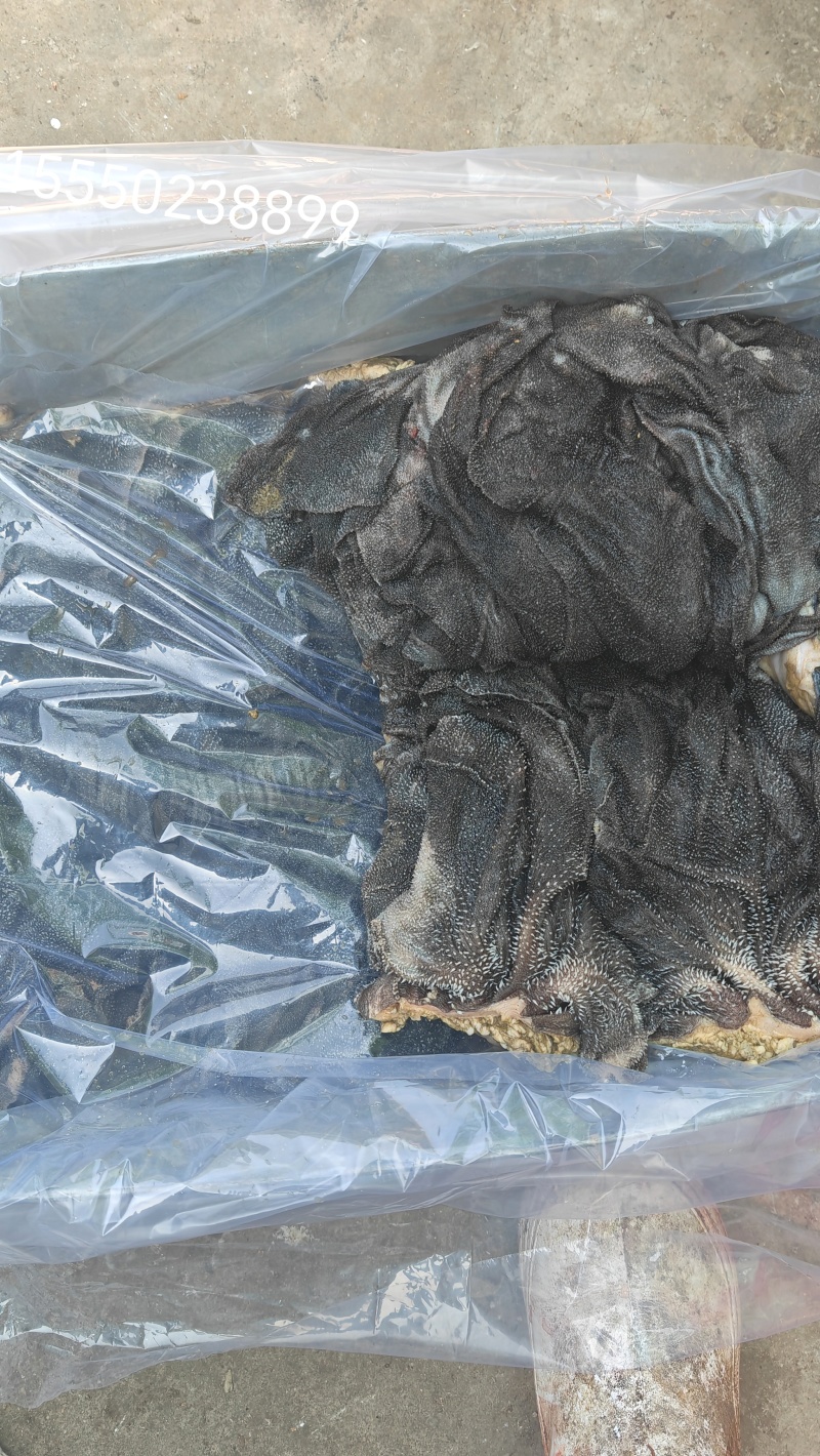 牛百叶厂家直销，保质保量，视频看货，量大从优，电联可议价