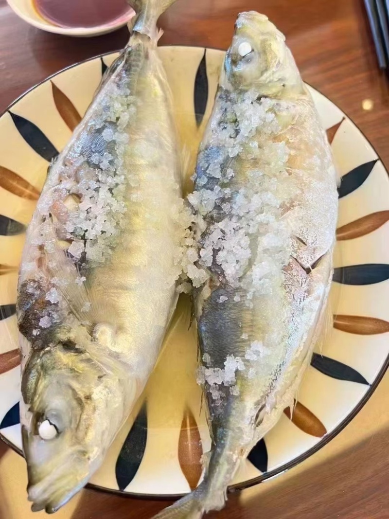 土豪巴浪鱼，刺身级别！**高档酒店，私厨。