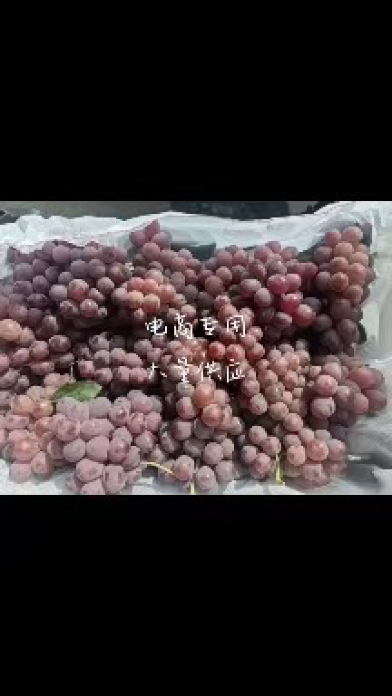 陕西红提/2芽红提/可供应电商社区团购