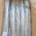 带鱼B带300/500