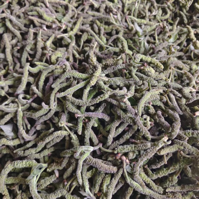 钩棒槌，钩不穗，毛毛虫，楮树穗，土桃穗，楚不穗