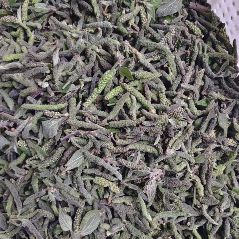 钩棒槌，钩不穗，毛毛虫，楮树穗，土桃穗，楚不穗