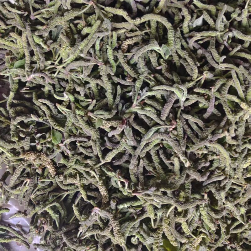 钩棒槌，钩不穗，毛毛虫，楮树穗，土桃穗，楚不穗