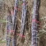 黑皮/青皮甘蔗,湖北水果甘蔗,长条粗壮,节长均匀量大从优