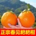 四川正宗春见耙耙柑果冻橙对接各大电商社区团购平台一件代发