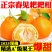 四川正宗春见耙耙柑果冻橙对接各大电商社区团购平台一件代发