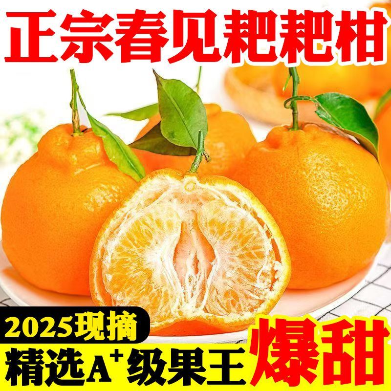 四川正宗春见耙耙柑果冻橙对接各大电商社区团购平台一件代发