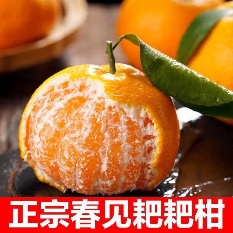 四川正宗春见耙耙柑果冻橙对接各大电商社区团购平台一件代发
