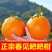 四川正宗春见耙耙柑果冻橙对接各大电商社区团购平台一件代发