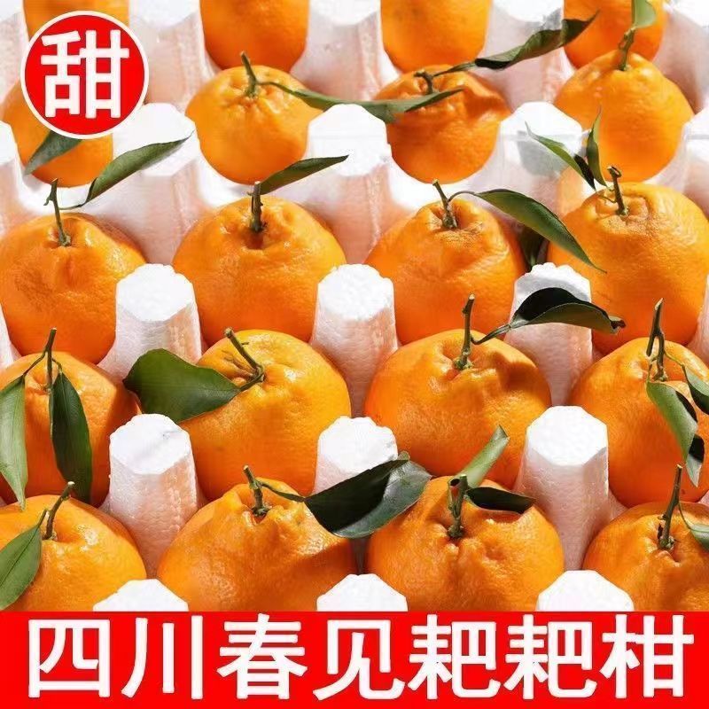 四川正宗春见耙耙柑果冻橙对接各大电商社区团购平台一件代发