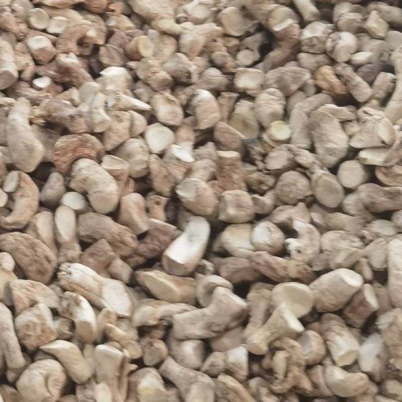 香菇腿产地直供大量有货品质保证服务周到