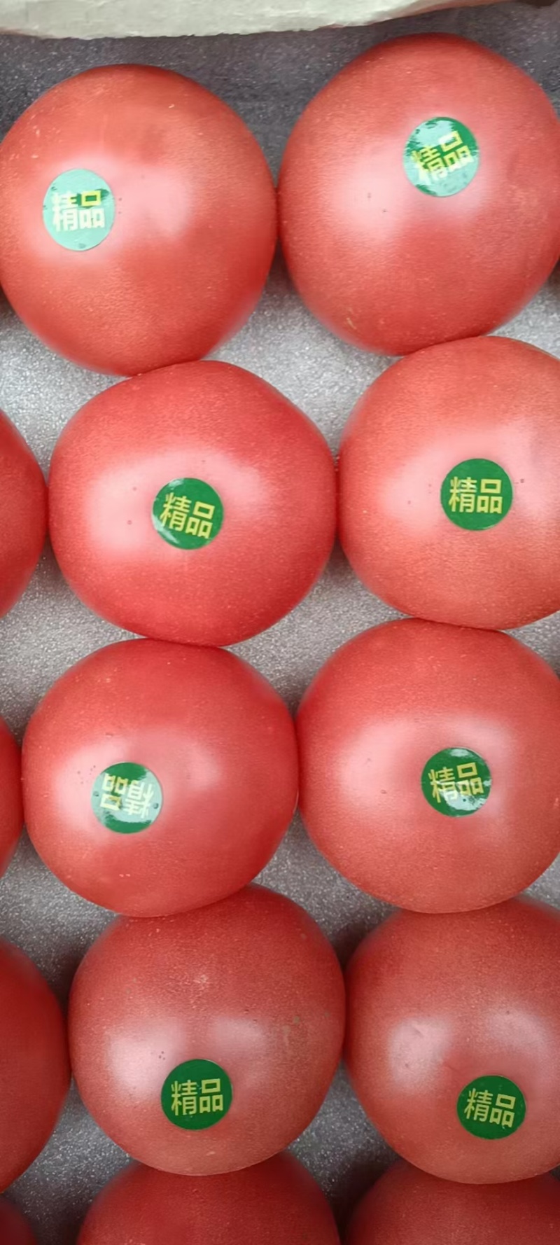 精品硬粉
