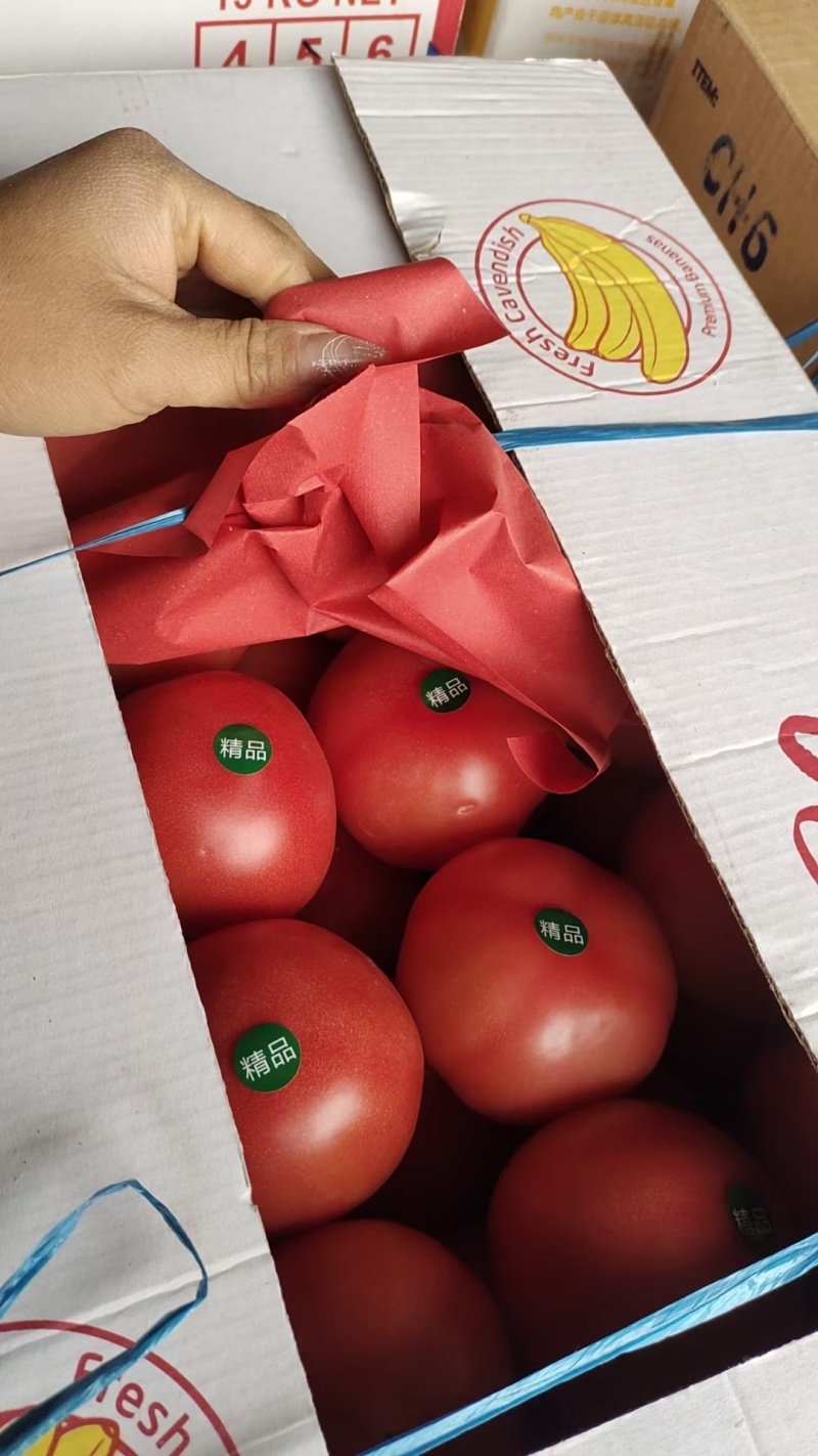 精品硬粉