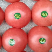 精品硬粉