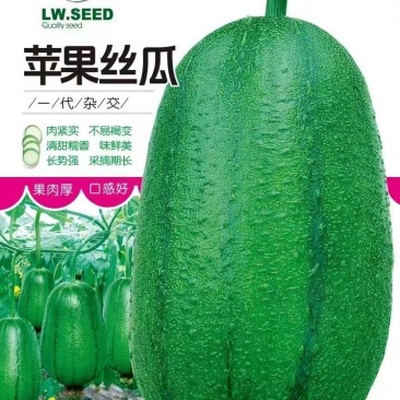 丝瓜种子泸旺苹果丝瓜