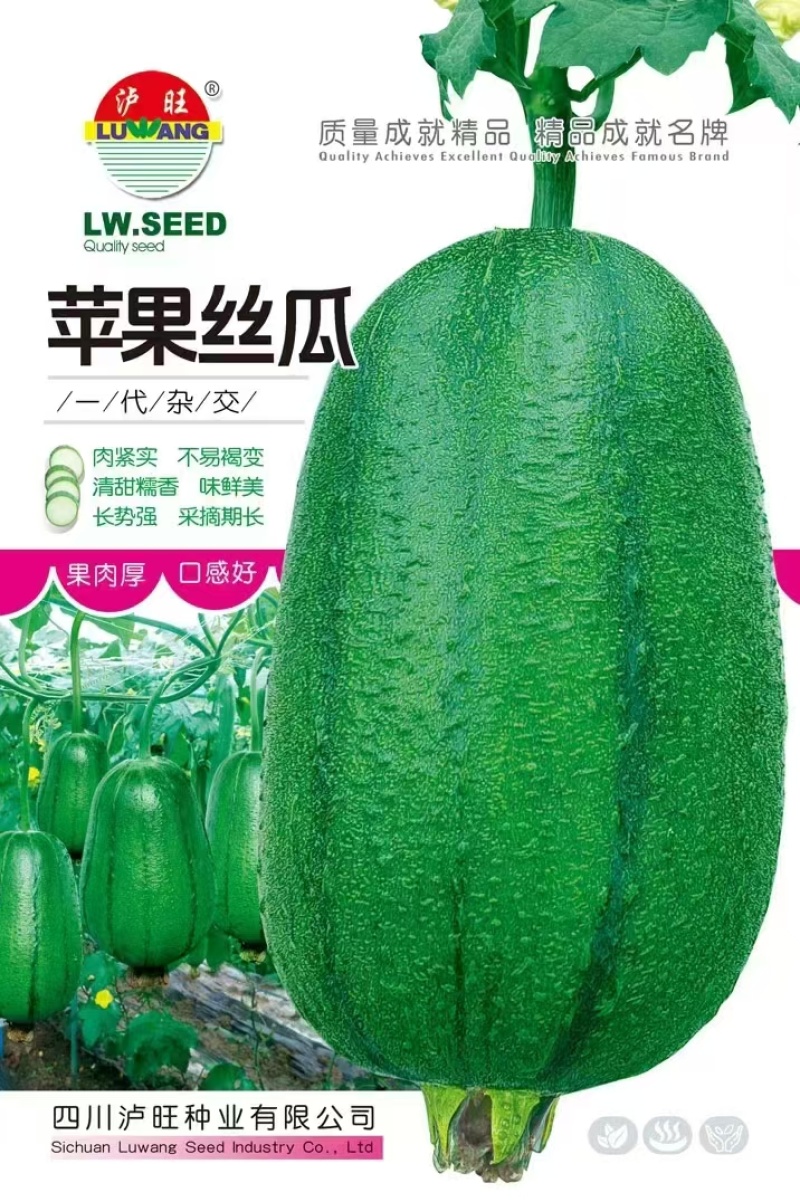 丝瓜种子泸旺苹果丝瓜